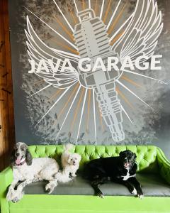 Kansas City's Historic West Bottoms - Barks in the Bottoms