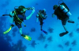 Scuba Diving Equipment Market