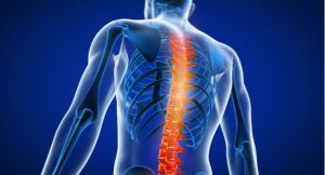 Spine Biologics Market Report