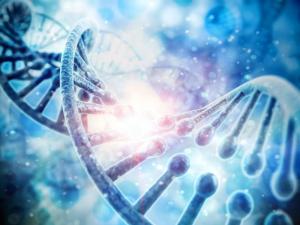 Gene Synthesis Market Size, Shares