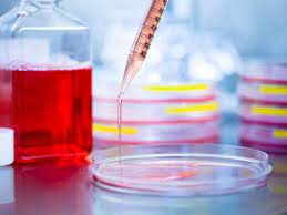Specialty Cell Culture Media Market