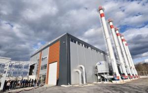 Biomass Heating Plant market