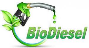 Biodiesel Market Research and Future Growth by 2031