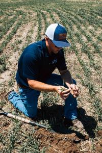 Carbon farming expert Travis Kraft evaluating soil