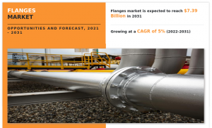 Flanges Market Growth