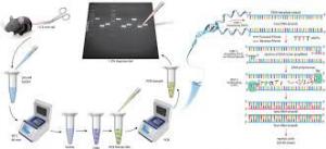 Genotyping + Net Income Growth | Trends and Company Shares 2031