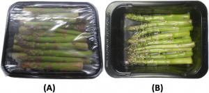Fresh and Packaged Asparagus Market Growth Status, Revenue Expectation to 2031