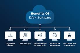 Digital Asset Management (DAM) Software Market