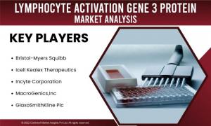 Lymphocyte Activation Gene – 3 Protein Market Landscape And Its Growth Prospects 2022-2028