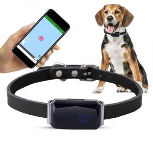 Smart Pet Collar market