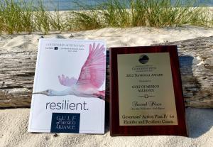 Governors' Action Plan IV and ACI award plaque on beach