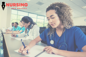 Nursing Pro Writers 1