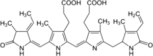 Phycoerythrin Market