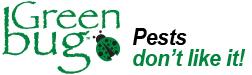 GreenBug Logo