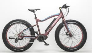 Mid Drive electric fat bike