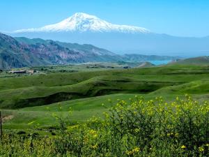 View of Mount Ararat