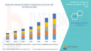 Anti-cathepsin B Market