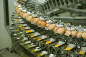 Global Egg Processing Market