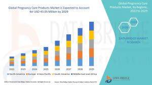 Global Pregnancy Care Products Market