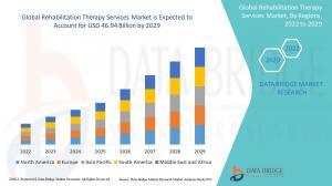 Global Rehabilitation Therapy Services Market