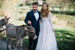 Donkey with Wedding Couple