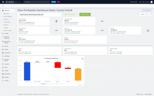 Profit & Loss Statement