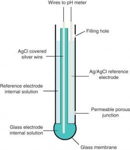 Glass Electrode market