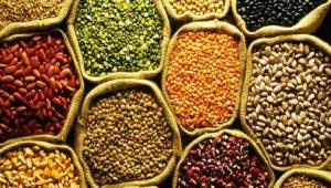 Commercial Seeds Market