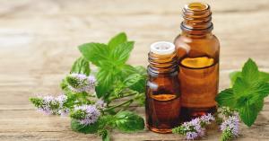 Mint Oil Market