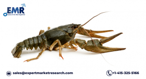 United States Crayfish Market