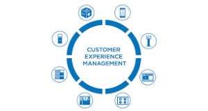 Customer Experience Management Market Share | Revenue And Structure Forecast To 2031