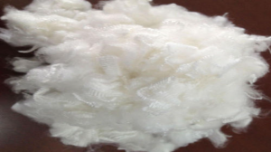 Recycled Polyester Fiber Market