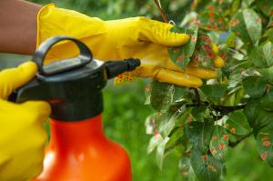 Global Fungicides market