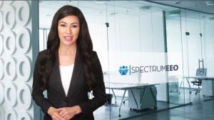 Spectrum EEO Professional Services