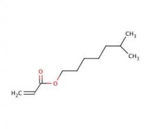 Isooctyl Acrylate Market
