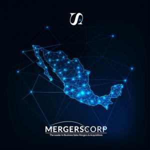 Businesses for Sale