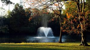 Scenic Image of UHCL Campus