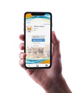 COVID Pet Test App Mock Up