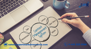 Database Management System (DBMS) Market