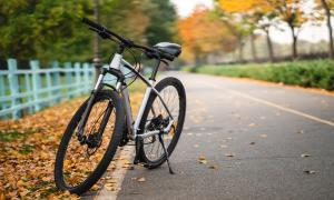 Road Bikes