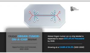 Organ-Tumor-on-a-chip Market