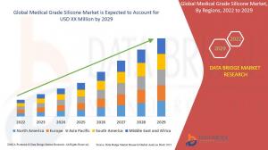  Medical Grade Silicone Market