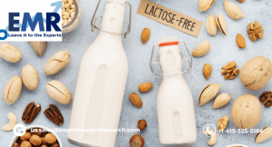 Lactose Market