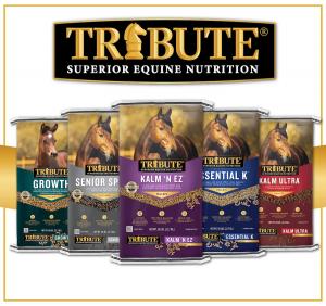 an image of Tribute Superior Equine Nutrition's newly designed packaging showing multiple different kinds of food.