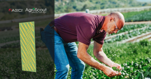 AgroScout agriculture digital solutions