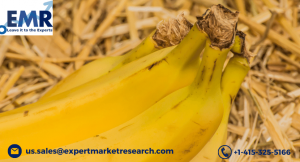 Organic Banana Market