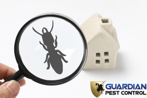Guardian Pest Control 2