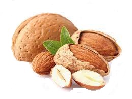 Almond Kernels Market