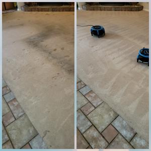 Optimum Cleaning Services Carpet Cleaning
