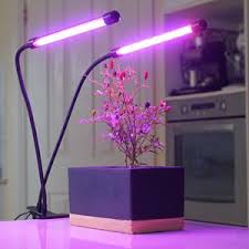 Global LED Grow Lights market
